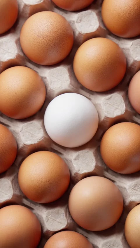 Paper tray with organic eggs rotating. Farm fresh eggs nestled in paper tray. Stock Footage 306090804