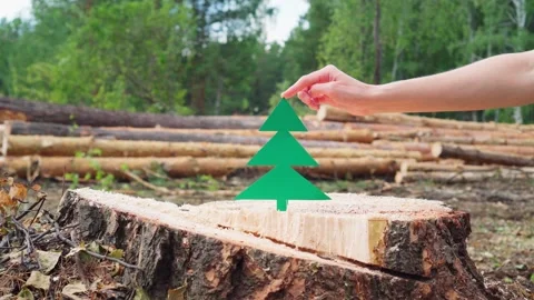 Paper tree on a freshly cut stump "There was a tree, but now it's gone." Stock Footage 247355359