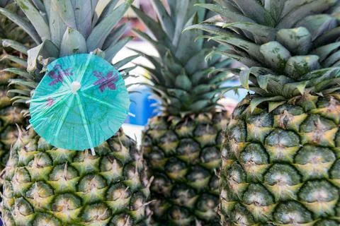 Paper umbrella in pineapple Stock Photos