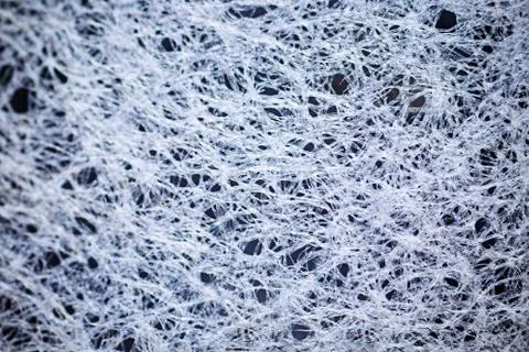 Paper under a microscope Foto stock