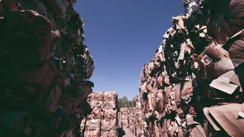 Paper waste landfill. pressed waste paper and cardboard. paper recycling. Vidéo 171867853