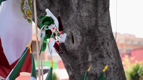 Paper windmill spinning with Mexico flag Stock Footage 229900103