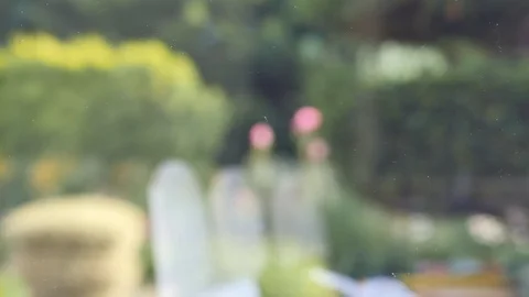 Paper on a window with an information message : "Congratulations" Stock Footage 93262199