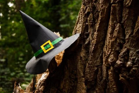 Paper witch hat hanging on a tree in autumn park Stock Photos