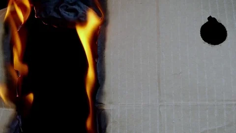 Paperboard in fire Stock Footage 75396083