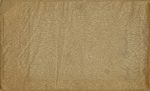 Paperboard spiderweb small Stock Photos