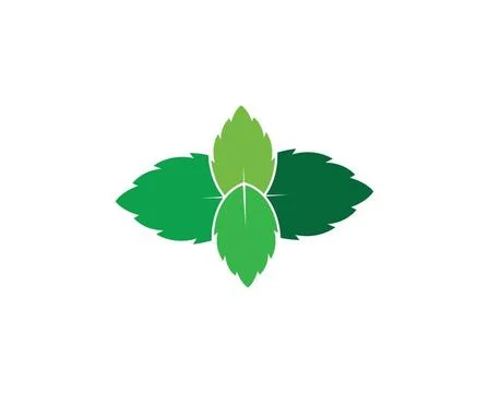 Papermint leaf illustration vector papermint leaf illustration vector temp... Stock Photos
