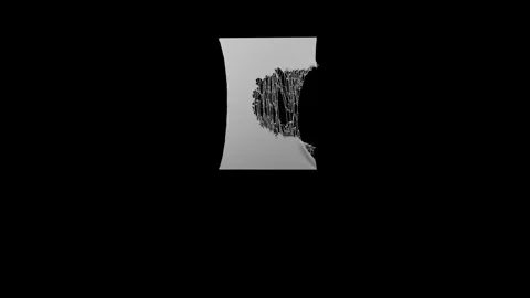 Paperripping03 스톡 동영상 341106707