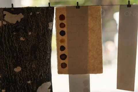 Papers hanging outside Wat Pho temple, Bangkok, Thailand, 31 January, 2025 Stock Photos