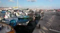 Paphos harbor with fishing boats fulled with catches HD Footage