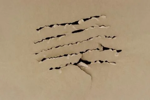 Papier_gerissen... Stock Photos