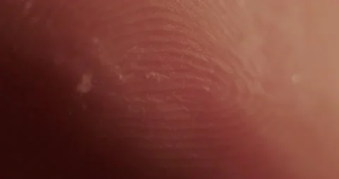 Papillary pattern of fingerprints with Stock Footage 166653967