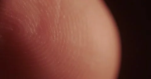 Papillary pattern of fingerprints Stock Footage 166653999