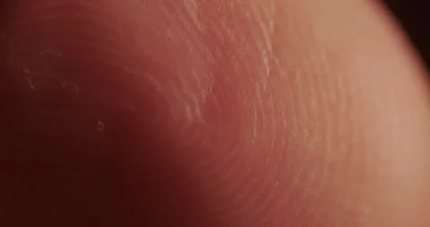 Papillary pattern of fingerprints with Stock Footage 166654003