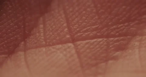 Papillary pattern of fingerprints with Stock Footage 166654093