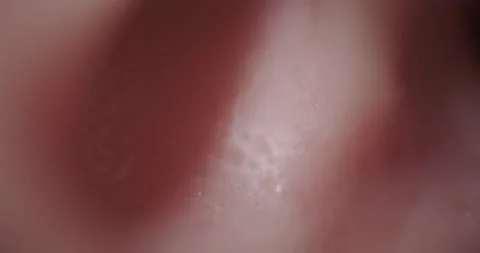Papillary pattern of fingerprints with Stock Footage 166654264