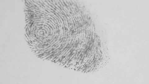Papillary pattern.Black and white print of a finger.Fingerprint.personal data Stock Footage 154339835