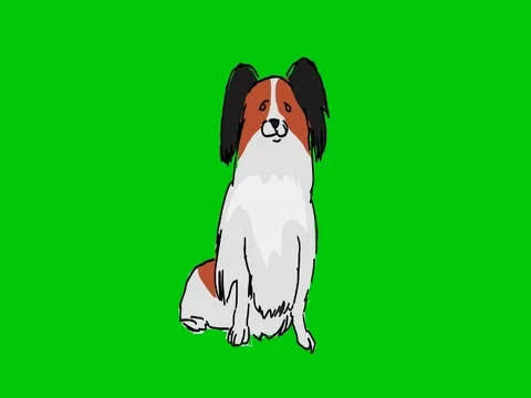 Papillon - Hand Drawn - Green Screen - SD Stock Footage