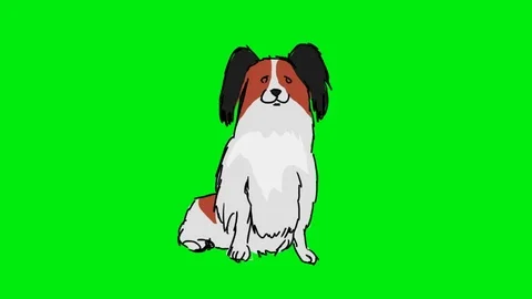 Papillon - Hand Drawn - Green Screen Stock Footage