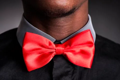 Papillon Stock Photos