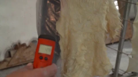 Papiro Processing Stock Footage 81717626