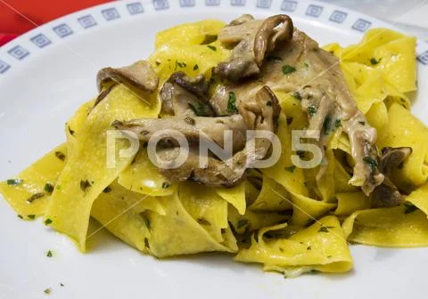 Pappardelle with porcini mushrooms Stock Photos