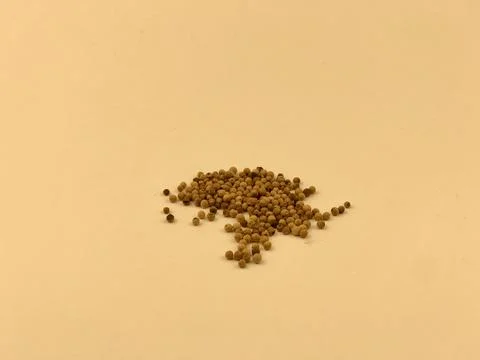 Papper seeds with an isolated white background Stock Photos
