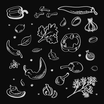 Paprika. Chilli hand drawn vector illustration. Vegetable engraved object sty Stock Illustration