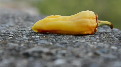Paprika drying at sun Stock Footage 53218239