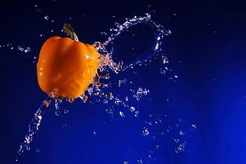 Paprika fruit on a blue background splashed with water creates a splash Foto stock