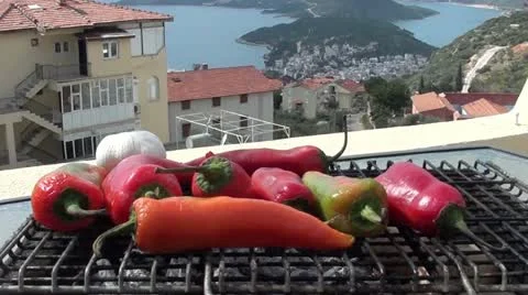 Paprika on grill Stock Footage 10890932