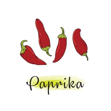 Paprika, hot pepper Stock Illustration