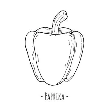 Paprika. Isolated object on a white background. Hand-drawn. Stock Illustration