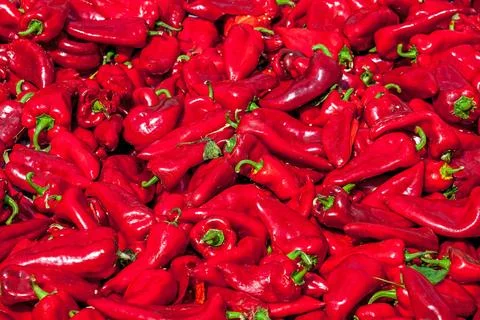 Paprika for pepper paste Stock Photos