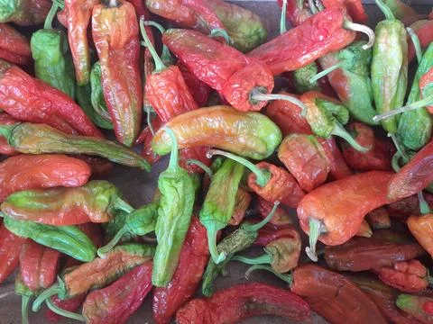 Paprika peppers culinary vegetable raw food Stock Photos