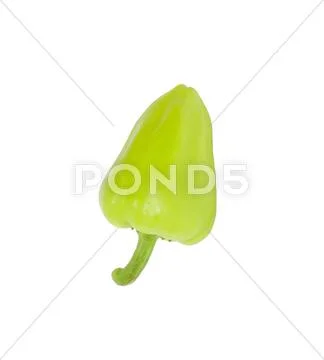 Paprika Stock Photos
