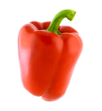 PAPRIKA Фото