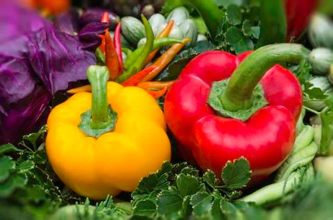 Paprika Stock Photos