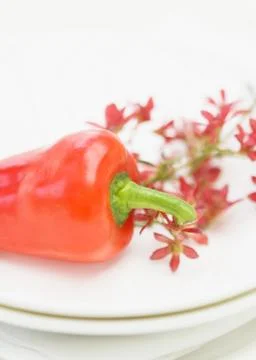 Paprika Stock Photos