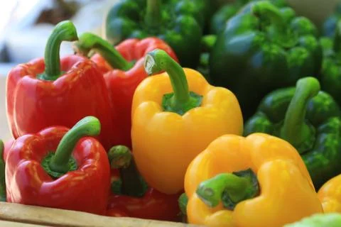 Paprika Stock Photos