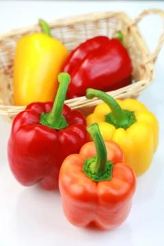 Paprika Stock Photos