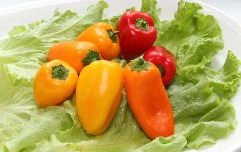 Paprika Stock Photos