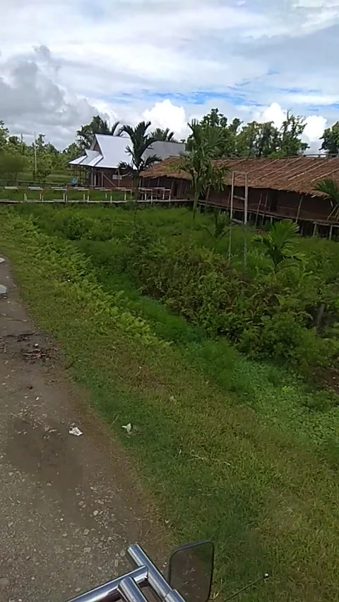 PAPUA CITY 스톡 동영상 202009376