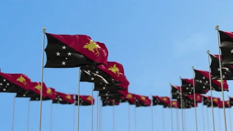 Papua New Guinea Row Of Flags Animation Video stock 148779235