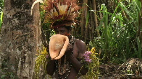 Papua New Guinea Sing Sing (Dance) Stock Footage 295319