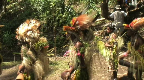 Papua New Guinea Sing Sing (Dance) Stock Footage 295532