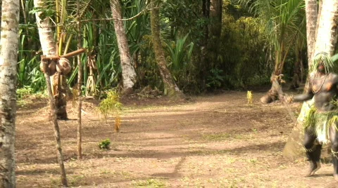 Papua New Guinea Tribe Stock Footage 295448