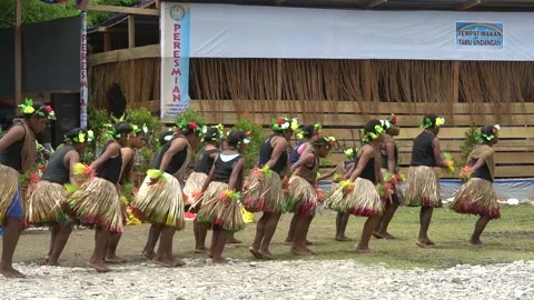 Papua Traditional Dance Vídeo Stock 338240681