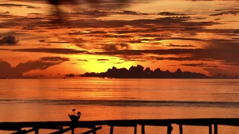 Papuan sunset with a jetty, ocean view - 4k Stockbeeldmateriaal 284526871