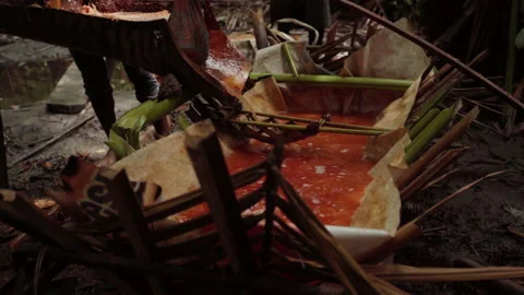 A Papuan Woman Squeezing Sago in Forest Stock Footage 202491761